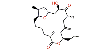 Amphidinolide T3